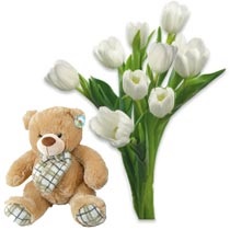 Tulips and teddy bear